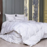 Одеяло кассетное GERMAN GRASS WHITE FAMILIE DOWN 240х260 теплое