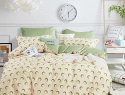 Постельное белье из сатина TANGO TS04-X268 50х70 (2шт), 70х70 (2шт) евро