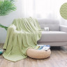 Плед из велсофта АЛЬВИТЕК SOFT PLUSH 013-SP 200х220