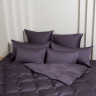 Постельное белье с простыней на резинке 180х200 GERMAN GRASS VIOLET BRILLIANT GRASS 70х70 (2шт) евро