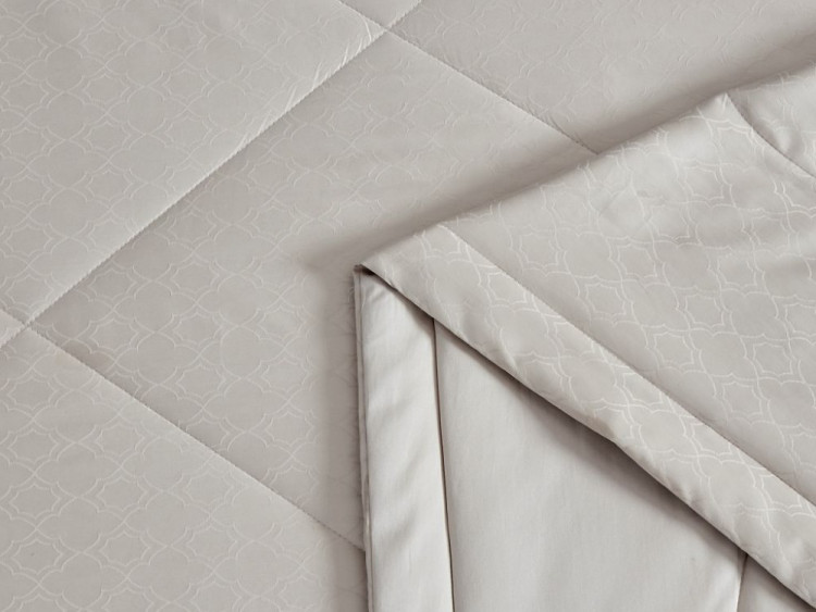 Постельное белье с летним одеялом из египетского хлопка Premium ASABELLA 1885-OMP 50х70 (2шт) евро