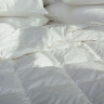 Одеяло пуховое GERMAN GRASS Princess Down Grass всесезонное 240х220