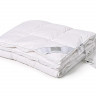 Одеяло кассетное из белого гусиного пуха с бортиком BELPOL STATUS 140х205 теплое
