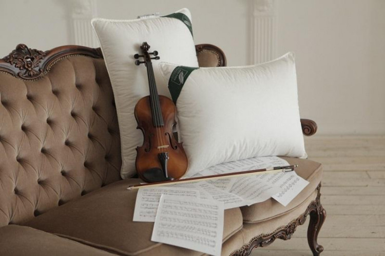 Подушка из элитного белого гусиного пуха ANNA FLAUM HERBST KOLLEKTION 50х70 мягкая