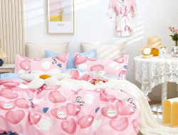 Постельное белье из твила TANGO TPIG-1752 50х70 (2шт), 70х70 (2шт) евро