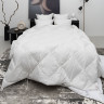 Одеяло стеганое GERMAN GRASS PRIME DOWN GRASS 200х200 всесезонное