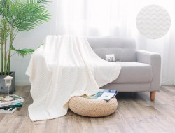 Плед из велсофта АЛЬВИТЕК SOFT PLUSH 014-SP 150х200