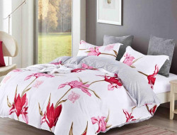 Постельное белье из микросатина TANGO DREAM FLY DF-258-50 50х70 (2шт) семейное