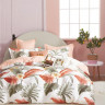Постельное белье двухстороннее из твила TANGO парадис 70х70 (2шт) 2-спальное