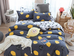 Постельное белье из микросатина TANGO DREAM FLY DF-83-70 70х70 (2шт) семейное