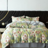 Постельное белье из тенсела люкс ASABELLA 2020-6 50х70 (2шт) и 70х70 (2шт) евро
