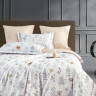 Постельное белье из египетского хлопка Premium ASABELLA 2180-7 50х70 (2шт) и 70х70 (2шт) семейное
