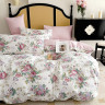 Постельное белье из сатина TANGO розарий 50х70 (2шт), 70х70 (2шт) евро
