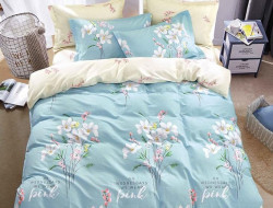 Постельное белье двухстороннее из твила TANGO TPIG-1296 50х70 (1шт), 70х70 (1шт) 1,5-спальное