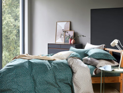 Постельное белье из сатина TANGO NOVELLA TS04-X259 50х70 (2шт), 70х70 (2шт) евро