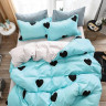 Постельное белье из микросатина TANGO DREAM FLY DF-297-70 70х70 (2шт) семейное