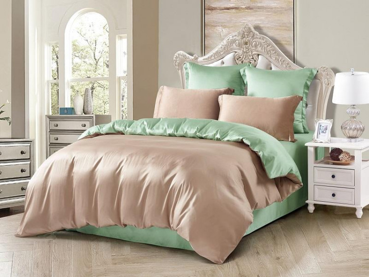 Постельное белье из тенсела двухстороннее TANGO JIU06-31 50х70 (2шт), 70х70 (2шт) евро