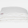 Одеяло GERMAN GRASS ALLIANCE DOWN Light and CASHMERE GRASS двойное 200х200