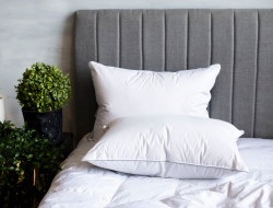 Подушка классическая с кантом GERMAN GRASS GRAY FAMILIE DOWN 50х68 мягкая