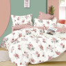 Постельное белье из твила TANGO теплый букет 50х70 (2шт) 2-спальное