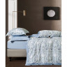 Постельное белье из тенсела люкс ASABELLA 2160-4S 50х70 (1шт) и 70х70 (1шт) 1,5-спальное