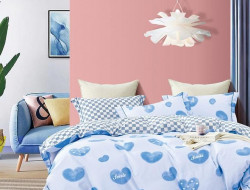 Постельное белье двухстороннее из твила в ПВХ TANGO TPIG-1693 50х70 (2шт) евро