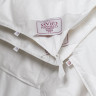 Одеяло GERMAN GRASS ALLIANCE DOWN Light and TENCEL GRASS двойное 150х200