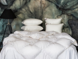 Одеяло кассетное GERMAN GRASS QUEEN DOWN GRASS 220х240 всесезонное