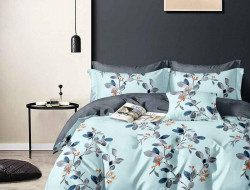 Постельное белье из сатина АЛЬВИТЕК CA-7-725 50х70 (2шт), 70х70 (2шт) семейное