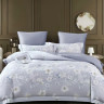Постельное белье из египетского хлопка Premium ASABELLA Дыхание весны 50х70 (2шт) и 70х70 (2шт) евро