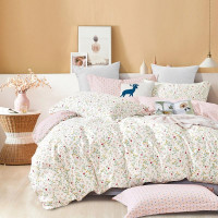 Постельное белье из твила TANGO бартенте 50х70 (2шт), 70х70 (2шт) евро