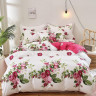 Постельное белье из твила TANGO роузи 50х70 (1шт), 70х70 (1шт) 1,5-спальное