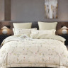 Постельное белье из египетского хлопка Premium ASABELLA Восхищение 50х70 (2шт) и 70х70 (2шт) евро