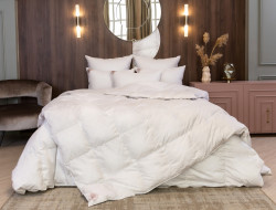 Одеяло пуховое кассетное GERMAN GRASS SILVER DOWN GRASS всесезонное Light 200х220