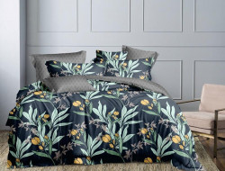 Постельное белье из микросатина TANGO DREAM FLY DF-475 50х70 (2шт) евро