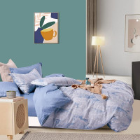 Постельное белье из твила в ПВХ TANGO TPIG-1827 50х70 (2шт) евро