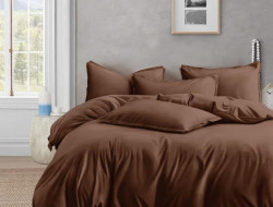 Постельное белье из люксового сатина АЛЬВИТЕК ОCA-008 молочный шоколад 70х70 (2шт) 2-спальное