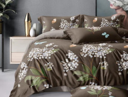 Постельное белье из сатина АЛЬВИТЕК CA-7-708 50х70 (2шт), 70х70 (2шт) семейное