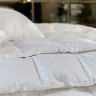 Одеяло кассетное GERMAN GRASS WHITE FAMILIE DOWN 155х200 всесезонное