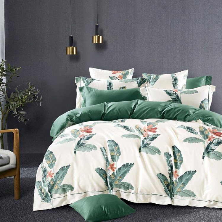 Постельное белье из египетского хлопка TANGO TIS-237 50х70 (2шт), 70х70 (2шт) евро