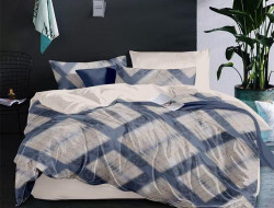 Постельное белье из сатина АЛЬВИТЕК CA-6-685 50х70 (2шт), 70х70 (2шт) евро