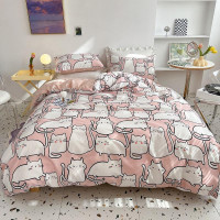 Постельное белье из сатина TANGO NOVELLA TS04-X223 50х70 (2шт), 70х70 (2шт) евро