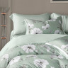 Постельное белье из тенсела люкс ASABELLA Мятная прохлада 50х70 (2шт) и 70х70 (2шт) евро