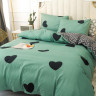 Постельное белье из микросатина TANGO DREAM FLY DF-218-70 70х70 (2шт) 2-спальное