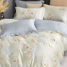 Постельное белье из тенсела люкс ASABELLA Гурманика 50х70 (2шт) и 70х70 (2шт) евро