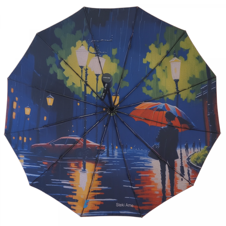 Зонт STEKI AME полный автомат усиленный ART бордовый