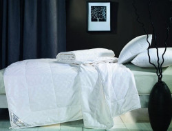 Одеяло из натурального шелка ASABELLA CS-5 155х215 легкое