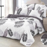 Постельное белье из микросатина с одеялом TANGO DE VERANO Y-02 50х70 (2шт) евро