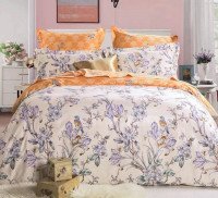 Постельное белье из сатина печатного САЙЛИД B-160 евро