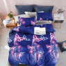 Постельное белье из микросатина TANGO DREAM FLY DF-244-50 50х70 (2шт) семейное